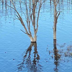 Meet your Posher, Sue